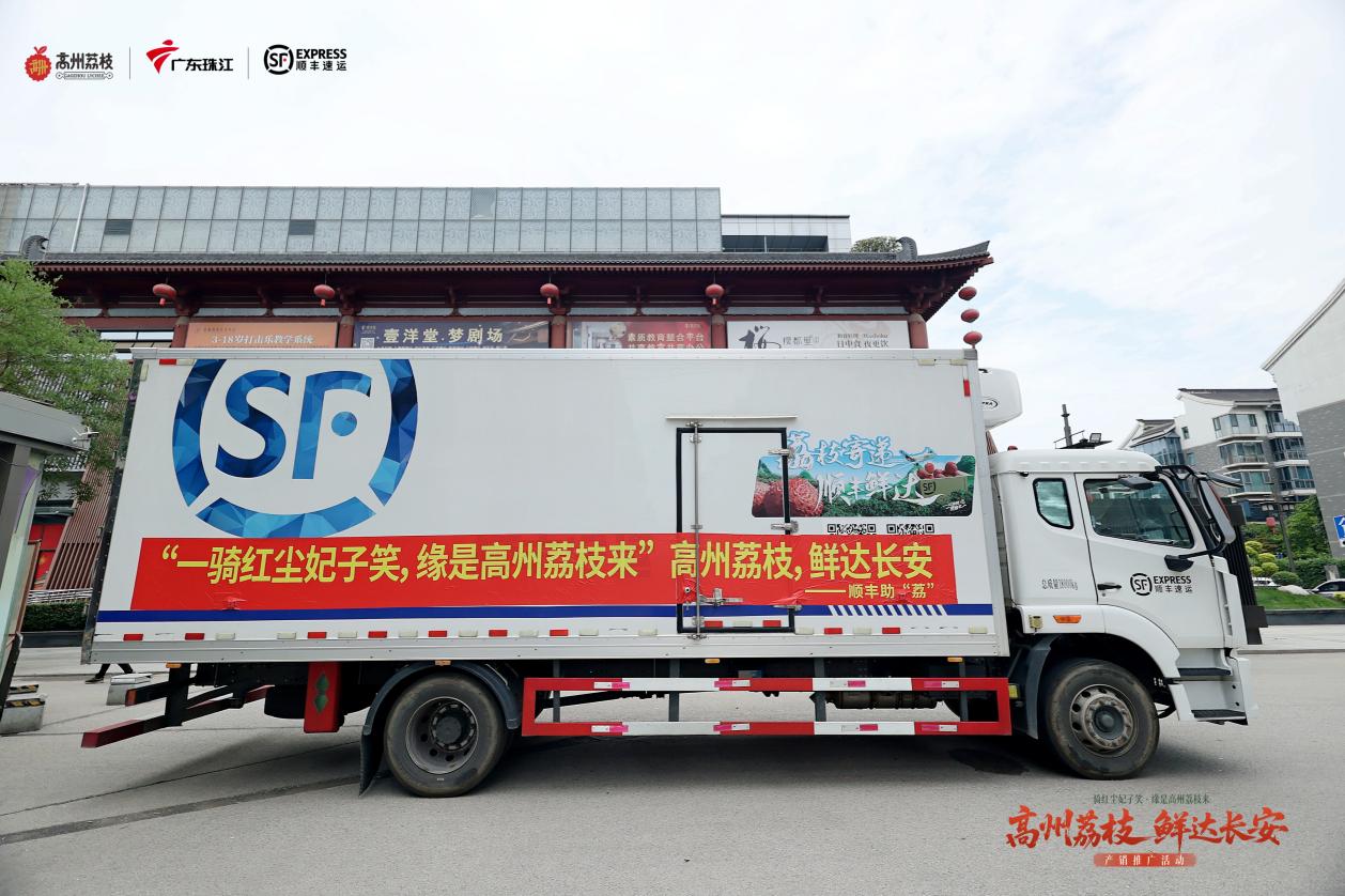 千年荔缘一线牵:从高州到西安,顺丰跨越1800公里的甜蜜接“荔”